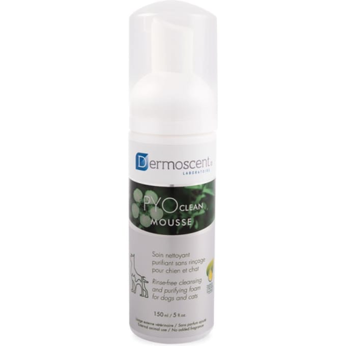Dermoscent Pyoclean Mousse Hond & Kat 150 Schuim