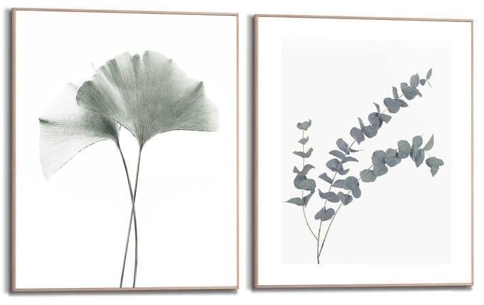 Schilderijen set Ginkgo Eucalyptus - 50 x 40 - Hout - REINDERS