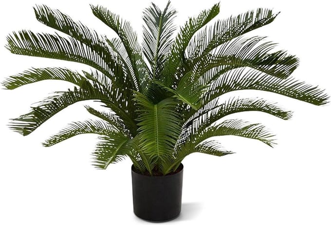 Cycas deluxe kunstpalm M 80cm - UV bestendig