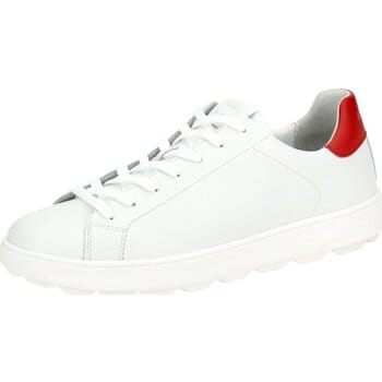 Sneakers Geox -