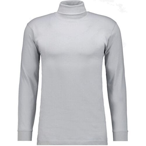 Ragman Long Sleeve Uni Col T-Shirt Single Jersey Silver / male