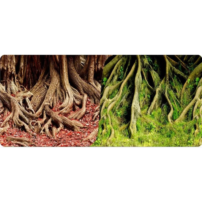 Poster 2 zijden 1 rol van 15 meter hoogte 60 Reptiles Planet Amazonian Tree Roots
