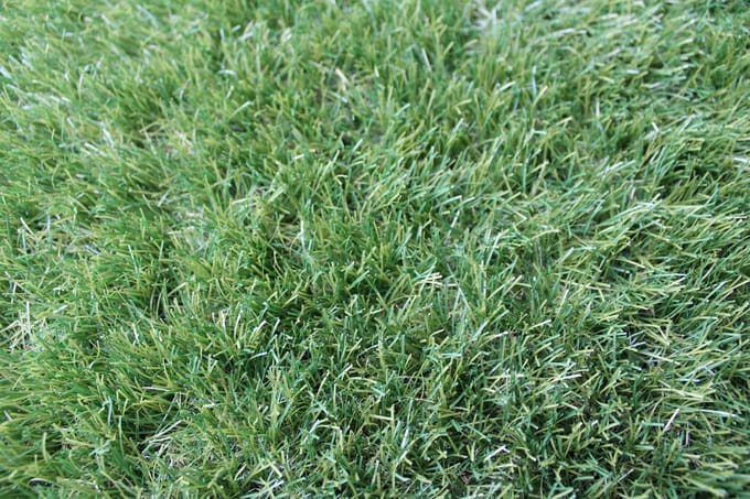 Niba® Kunstgras - 1x3m² - 40mm - Grastapijt - Groen - UV bestendig