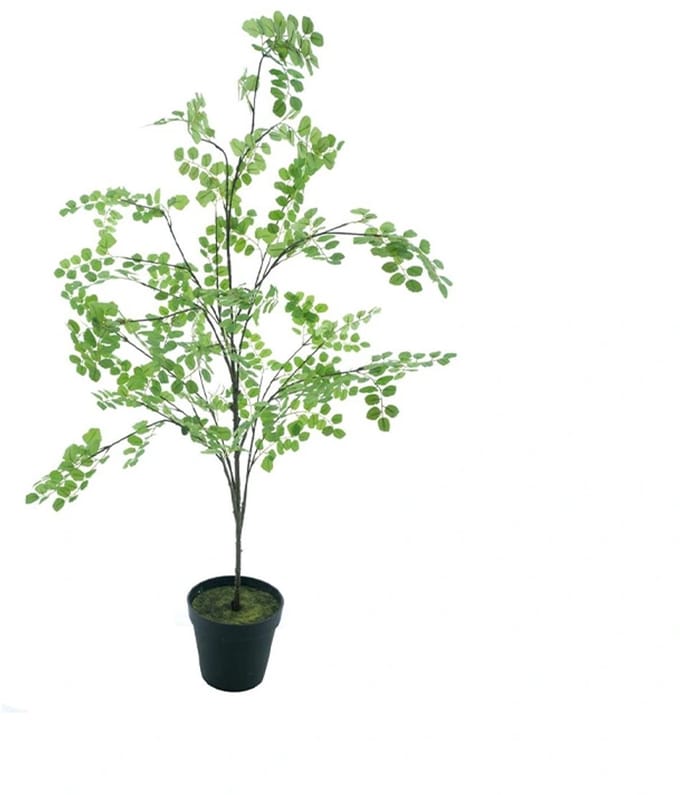 Kunstplant Button Leaf Tree in Pot - 175 cm