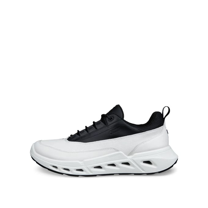 Baskets Ecco Biom 720 Low GTXS Lea