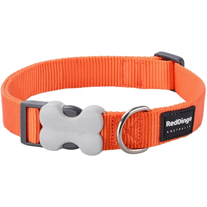 Red Dingo Halsband Hond 25mm x 41-64cm DC-ZZ-OR-25