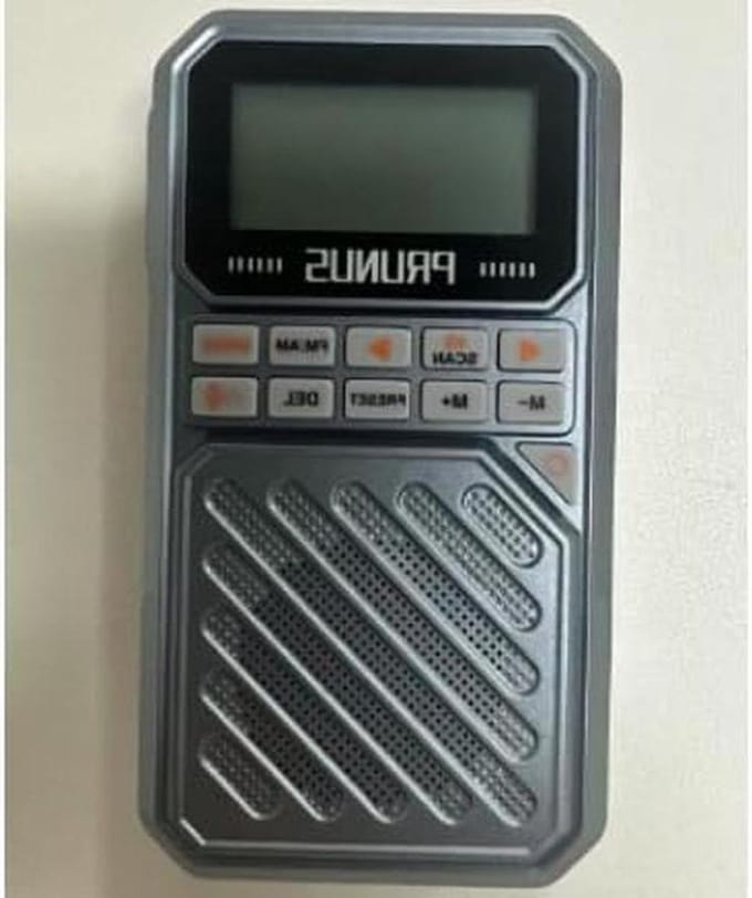 Draagbare Mini Radio - Bluetooth Radio - Muziek Luisteren - AM FM SW Ontvangst - Compact Formaat
