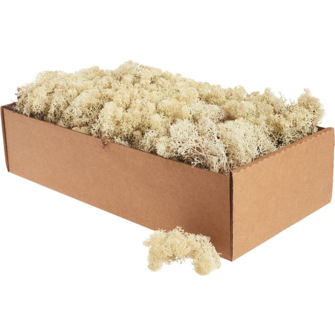Othmar Decorations Decoratie/hobby Finlands mos - naturel - 500 gram