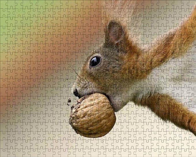 Houten Puzzel - 1000 Stukjes - Ontspanning Thuis - Precisie Gesneden - 75x50cm - Gekleurd