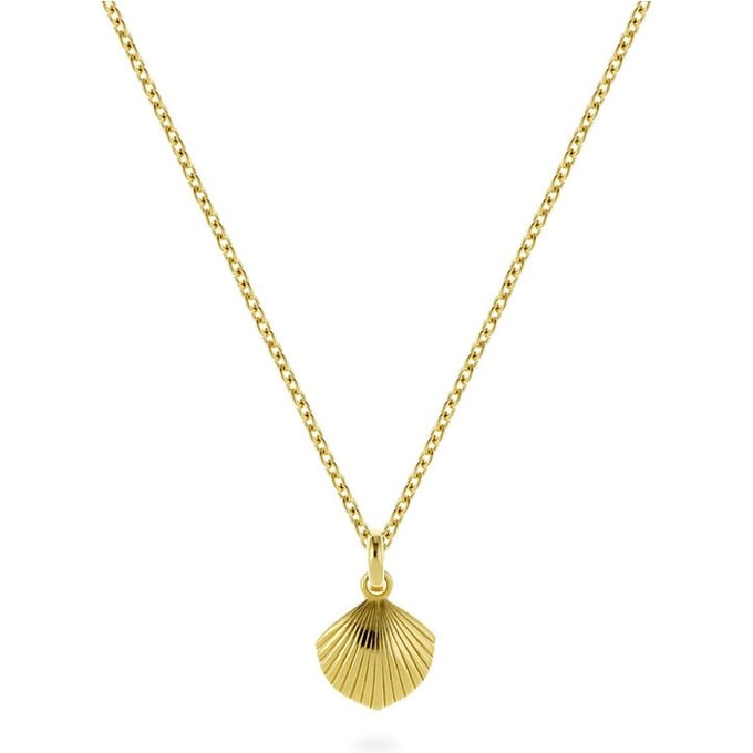 Guido Maria Kretschmer Ketting Shell love 89206682
