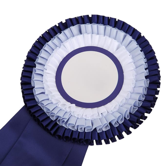 Tweede Plaats Rozet Lint Badge Prachtig Klein Winnaarsmedaille Prijs Trofee white
