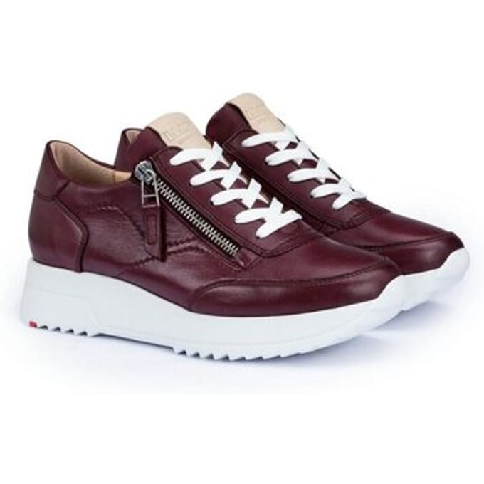 Sneakers Lloyd -
