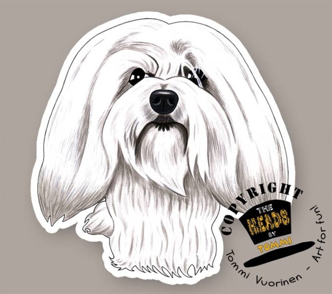 Magneet Hond Coton de Tulear