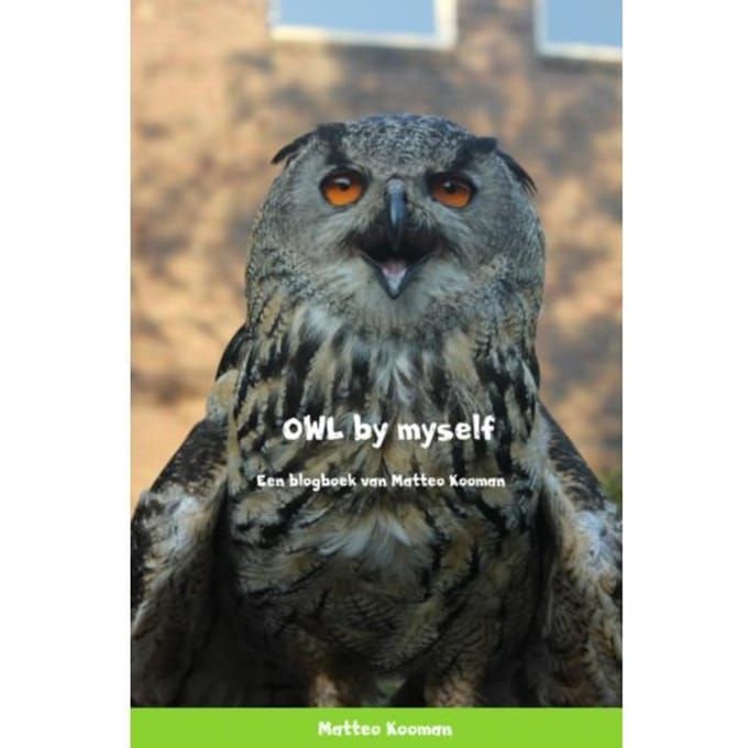 Owl By Myself - Matteo Kooman