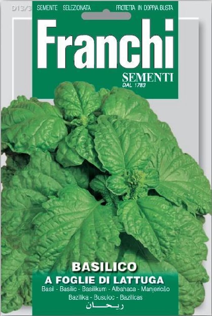 Franchi Basilico Foglie Di Lattuga - Basilicum slabladig