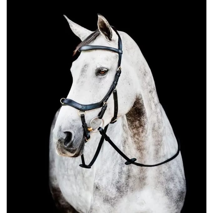 Anatomisch hoofdstel Horseware Micklem 2 Multi
