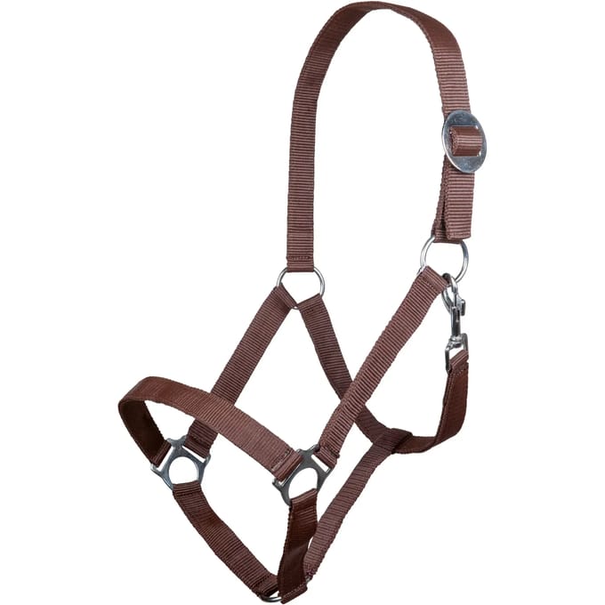 Halster -Stars Economy- donkerbruin Pony