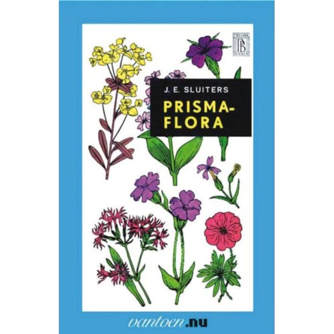 Prisma-Flora - Vantoen.Nu - J.E. Sluiters