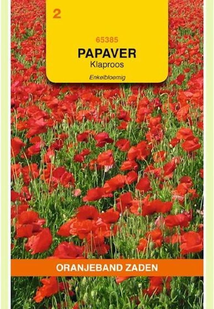 OBZ Klaproos rood (Papaver rhoeas)
