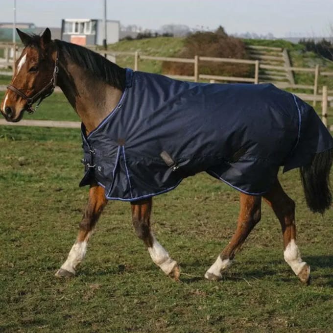 Outdoor paardendeken Equithème Classic 600D 100 g