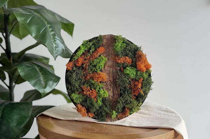 DIY Pakket Mos Schilderij Oranje