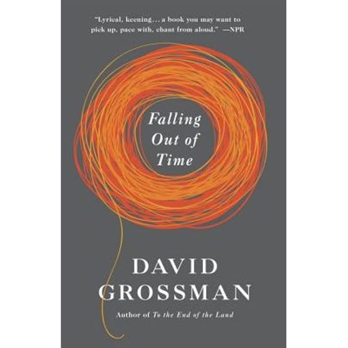 Falling Out Of Time - David Grossman