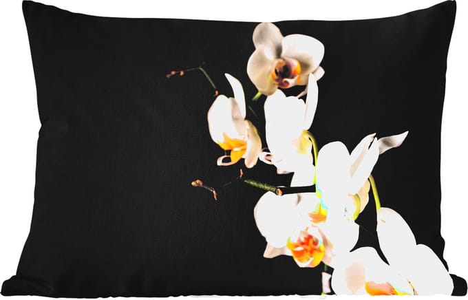 Buitenkussens - Tuin - Orchidee - Bloemen - Planten - Botanisch - 50x30 cm