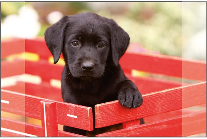 Kangaro bureau onderlegger - 38x58cm - Labrador zwart - antislip - met insteekvakken