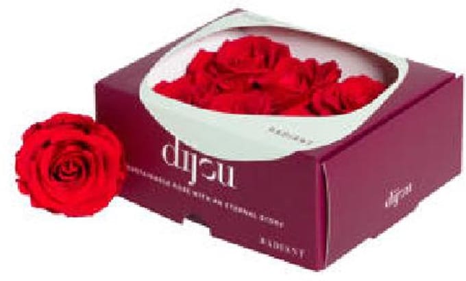 6x Dc pres.rozen light red 1795c