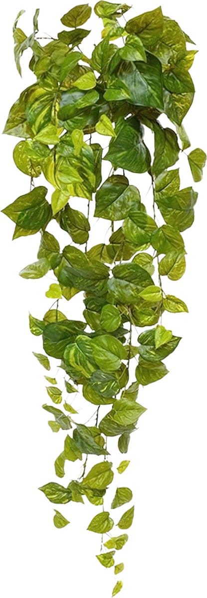 Pothos kunsthanger 90cm - bont