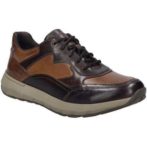 Lage Sneakers Josef Seibel -