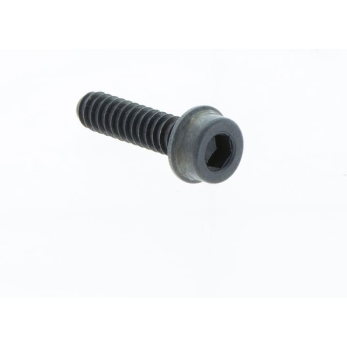 Screw