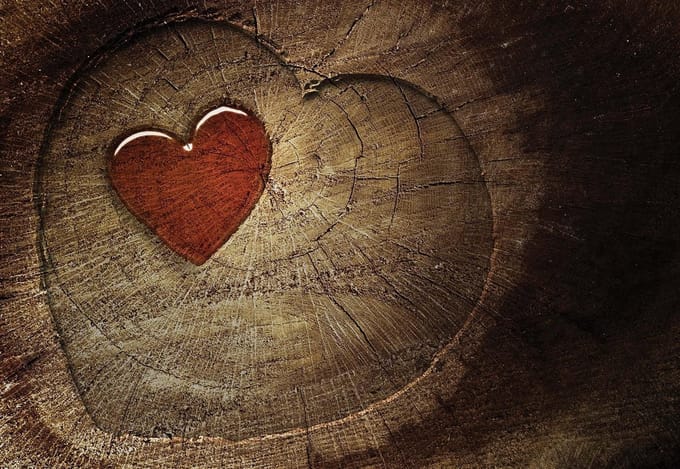 Fotobehang Heart Tree | PANORAMIC - 250cm x 104cm | 130g/m2 Vlies