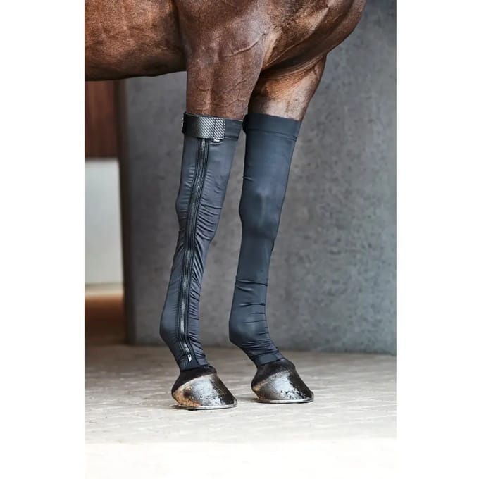 Herstelsokken voor paarden Catago FIR-Tech