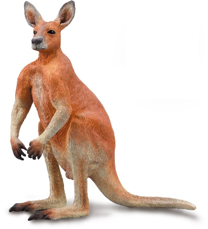 COLLECTA Figurine - Rode Kangoeroe Mannetje - (L) - Wilde Dieren - Handgeschilderd - Miniatuur