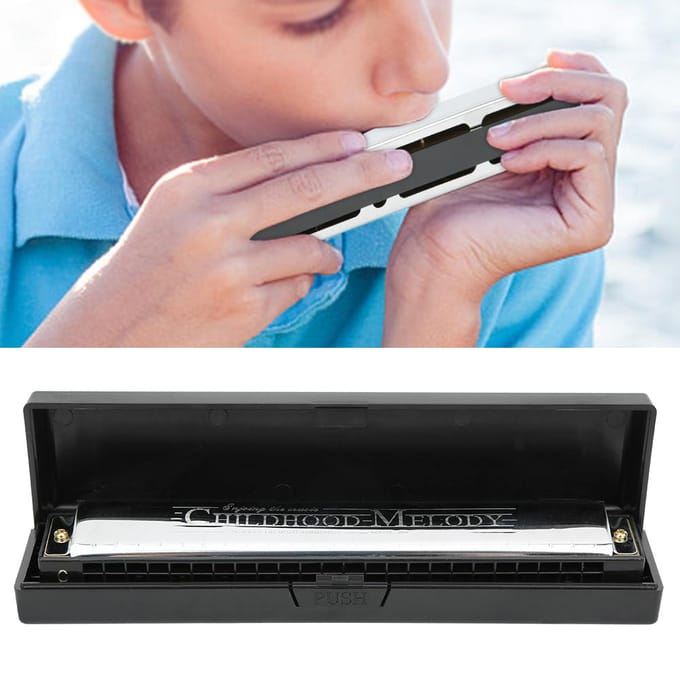 Professionele Mondharmonica Diatonische Harp C Toon Roestvrijstalen Dekplaat 24?HoleBlack black