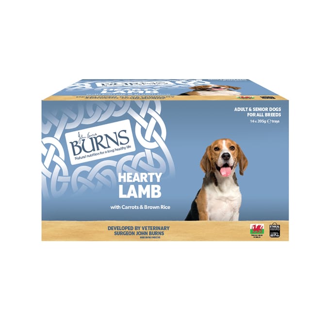 Burns natvoer voor honden 16 x 395 g - Lam