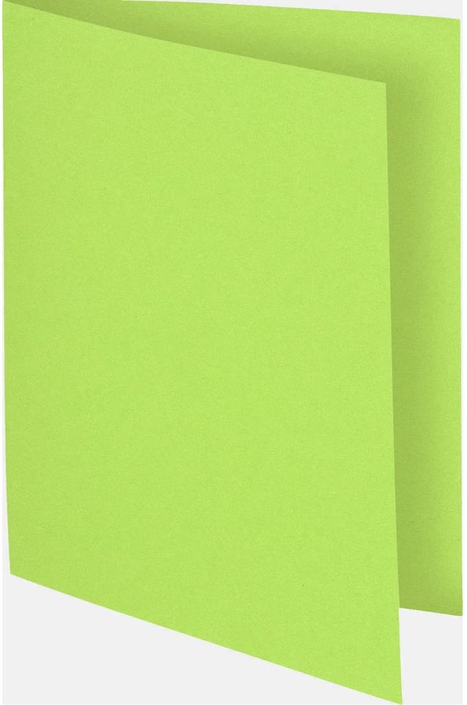 Exacompta 10x FLASH 80 - Pak van 100 inlegmappen - Lindengroen - 150013E