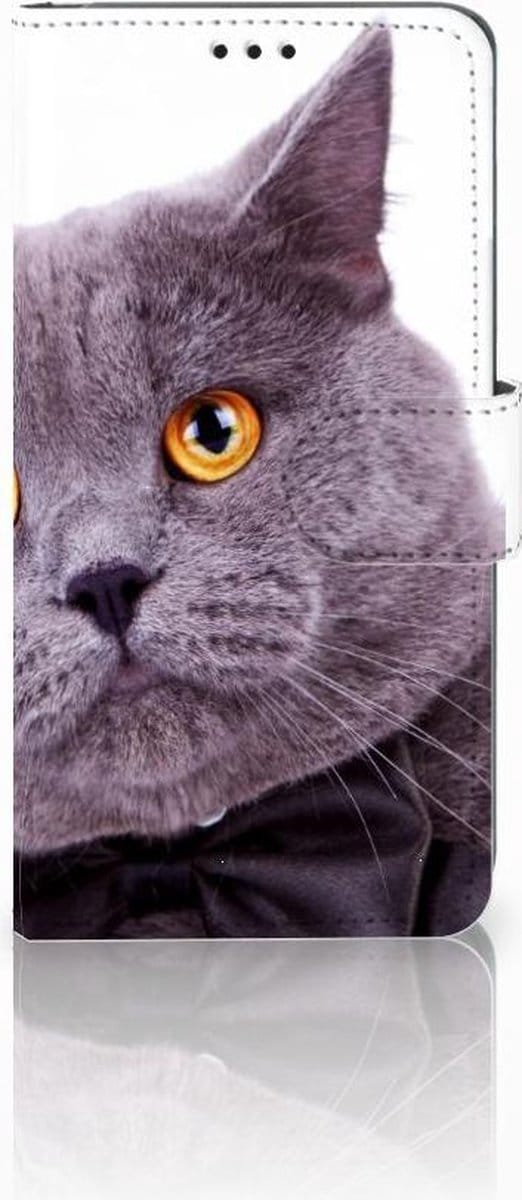 Samsung Galaxy S10 Telefoonhoesje met Pasjes Kat