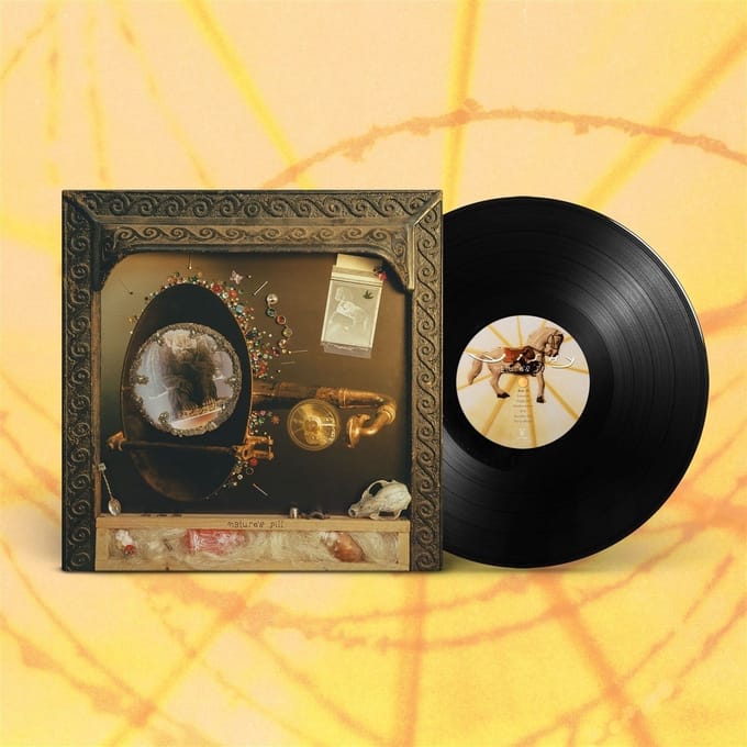 Wishy - Nature's Pill (LP)