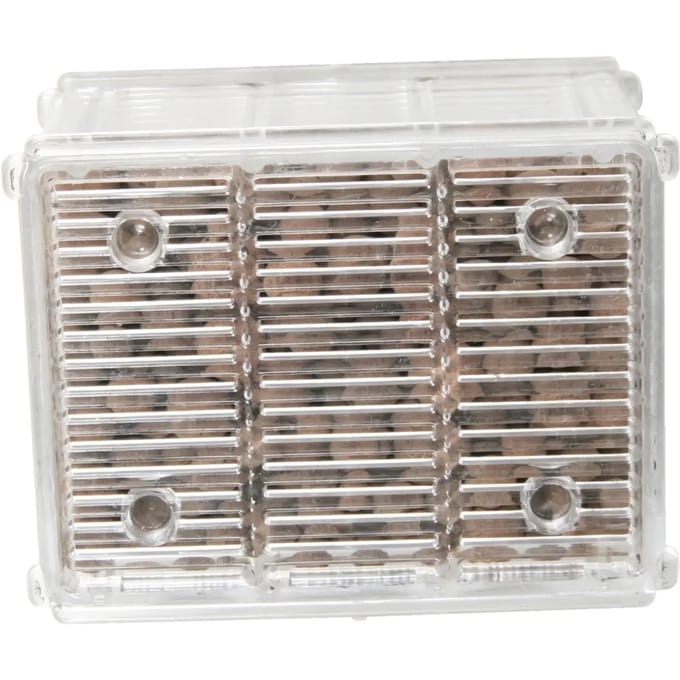 Kogelpatroon Zolux Nanolife