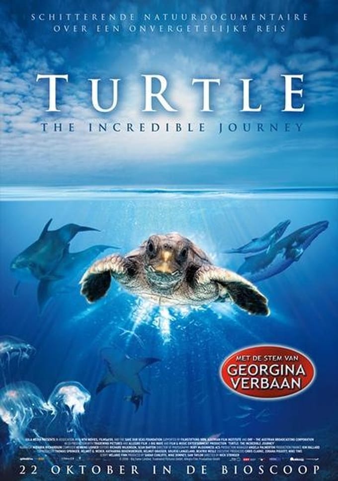 Turtle - The incredible journey (DVD)