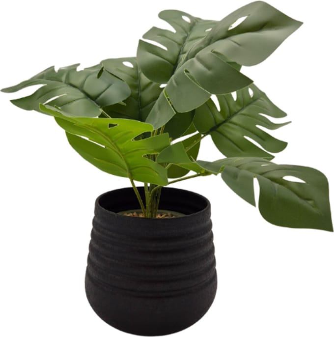 Deco4yourhome® - Bloempot - Plantenpot - 13cm - Zwart - Black