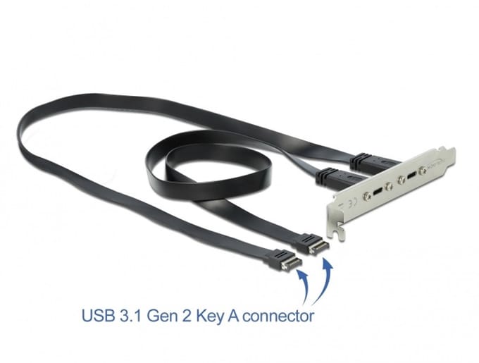Delock USB 3.1 Gen 2 Slot Bracket with 2 x USB Type-C™ Ports
