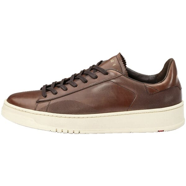 Sneakers LLOYD bruin