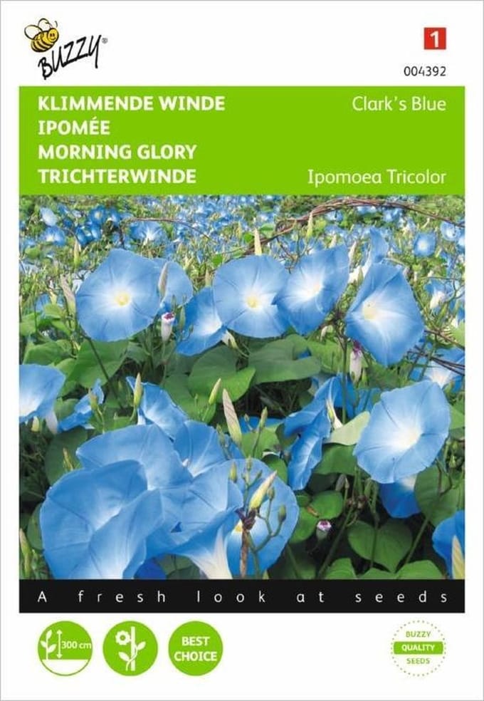 Buzzy Zaden - Klimmende Winde Clark's Blue (Ipomoea tricolor)