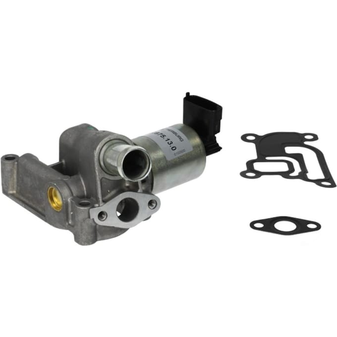 EGR-klep PIERBURG 7.22875.13.0
