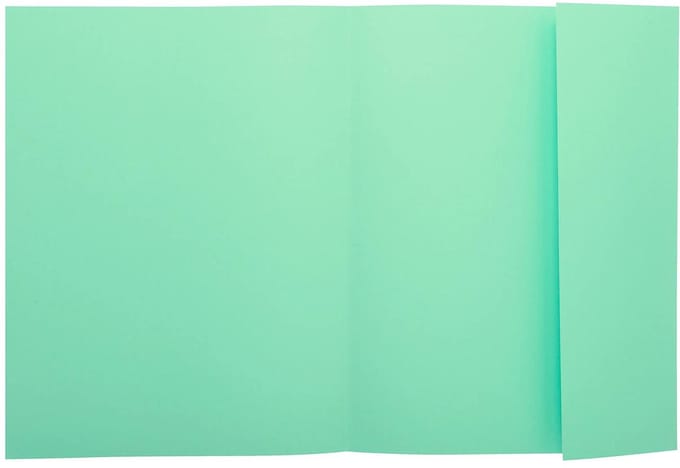 Exacompta 5x SUPER 160 Pak van 100 mappen met 1 klep - 24x32cm - - Lichtgroen - 348004E