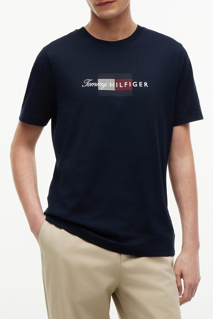Tommy Hilfiger Script Flag Regular Tee Desert Sky Größe: M | Bedruckte T-Shirts Outlet | Herren
