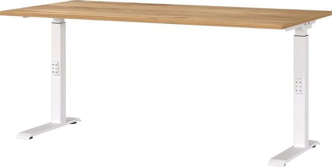 Bureau Galileo Eiken - Wit - 160x80cm - Hoogte 91 cm - In hoogte verstelbaar